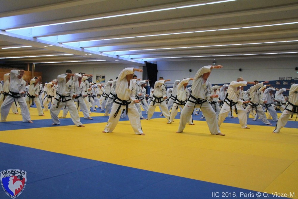 IIC París 2016 (4).jpg